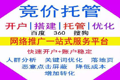 短视频平台的SEM推广实践与效果