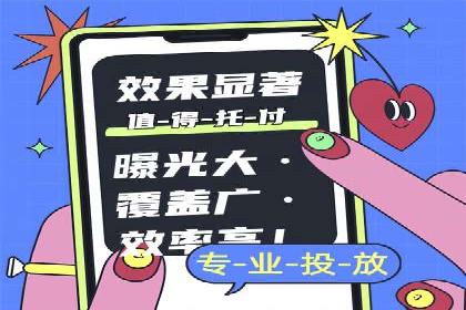 百度竞价策略解析：案例分析及优化建议
